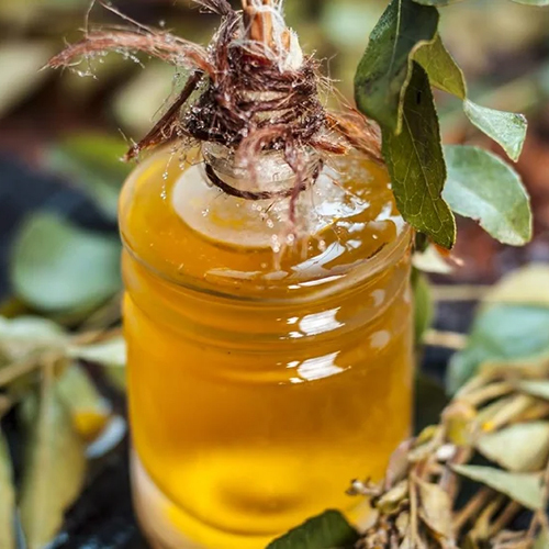 Curry Leaf Essential Oil