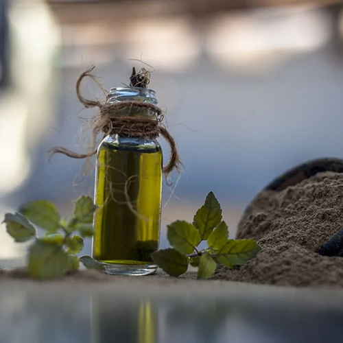 Natural Brahmi Oil