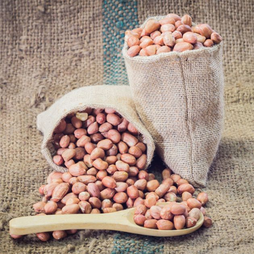 Premium Groundnut