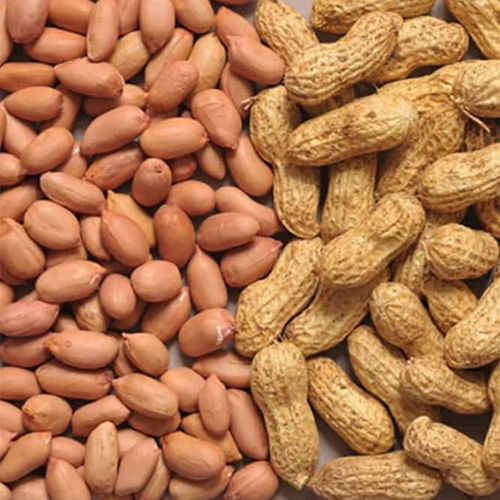 Whole Groundnut