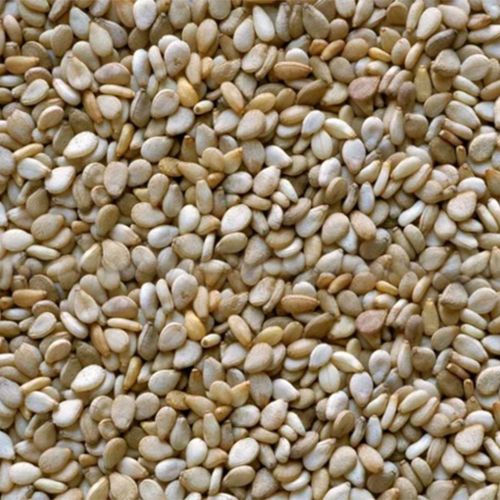 Sesame Seeds