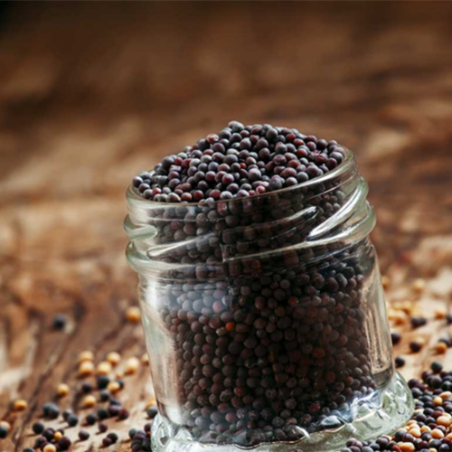 Premium Mustard Seeds