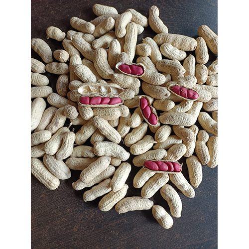 Common Raw Groundnut