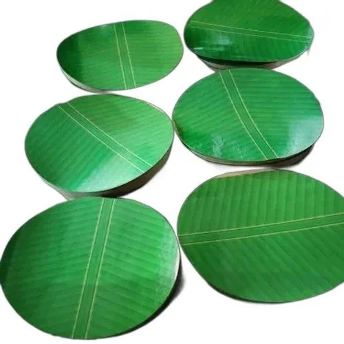 Kela Patta Circle - High-Quality Paper Material 80-100 GSM | Eco-Friendly, Heat Resistant, Elegantly Green, Plain Pattern for Premium Paper Plates