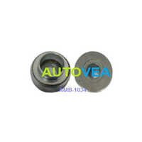 AMB-1034 Plastic Bearing