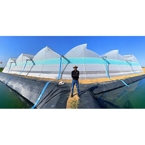 Naturally Ventilated Agriculture Polyhouse