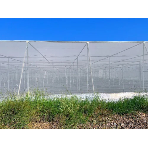 Prefabricated Polyhouse Structure