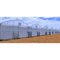 Panel Build Dome Shaped Fan And Pad Greenhouse - Advantage: Long Life