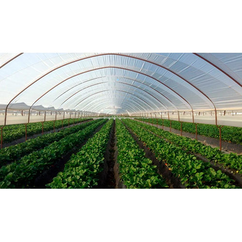 Naturally Ventilated Greenhouse - Advantage: Sun Protection