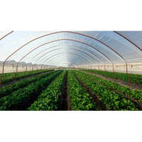 Naturally Ventilated Greenhouse - Advantage: Sun Protection