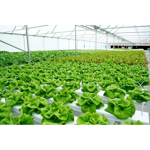 UPVC Hydroponic System