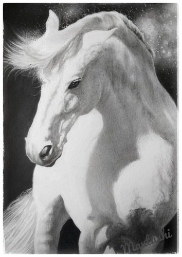 Horse Painting