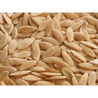 Yuksel Keisha F1 Cucumber Hybrid Seeds