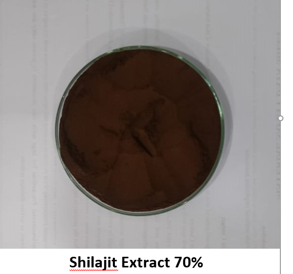 Shilajit Dry Extract - Color: Brown