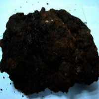 Shilajit Extract 70% Fulvic Acid