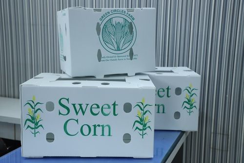 PP CORRUGATED VEGITABALES BOX