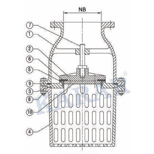 Lift Type Foot Valve