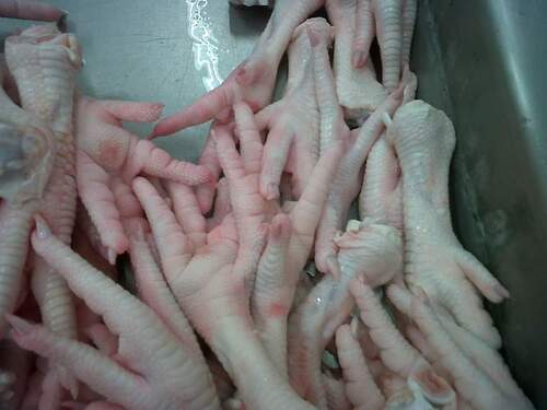 Fresh chicken Feet