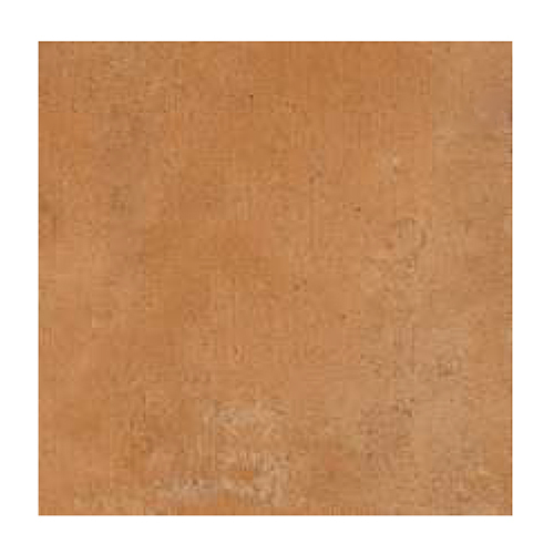 60x60 CM Matt Rustic Modish Cotto Floor Tile