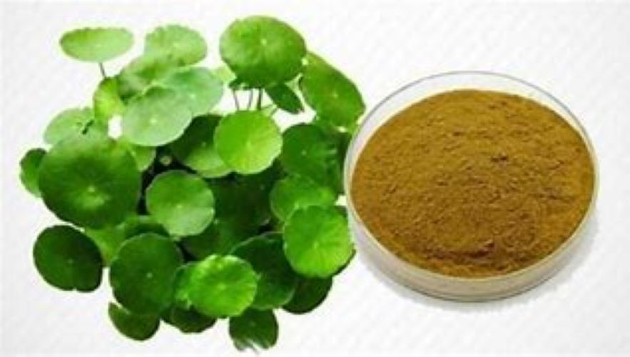 Centella Asiatica Dry Extract