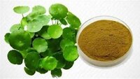 Centella Asiatica Dry Extract - Direction: As Per Suggestion