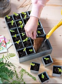 Seedling Nursery Tray 10 Cavities - Reusable Plastic, Flexible Design | Efficient Drainage, Ideal For Herbs, Microgreens, And Vegetables