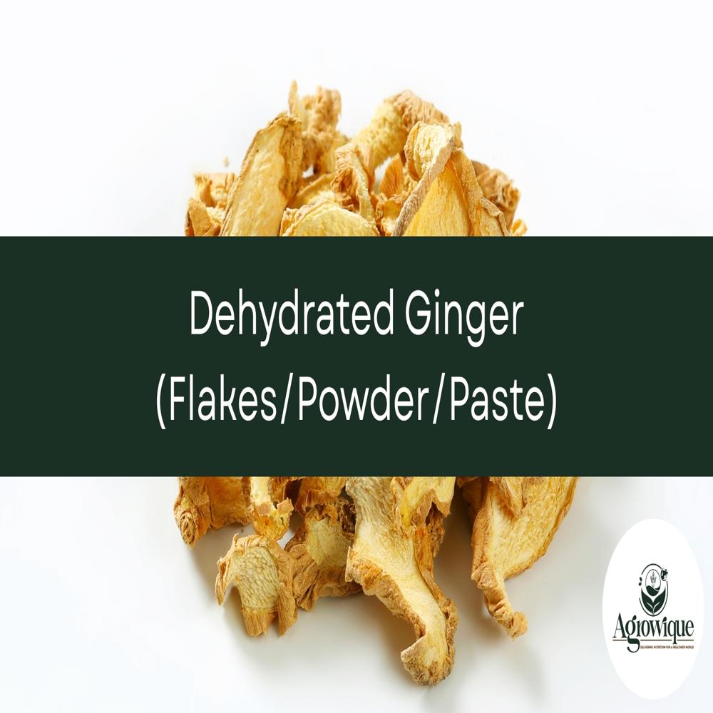 Ginger Slices - Naturally Dried, 100% Natural, Intense Aroma, Uniform Thin Slices, Long Shelf Life, Excellent Rehydration Capacity