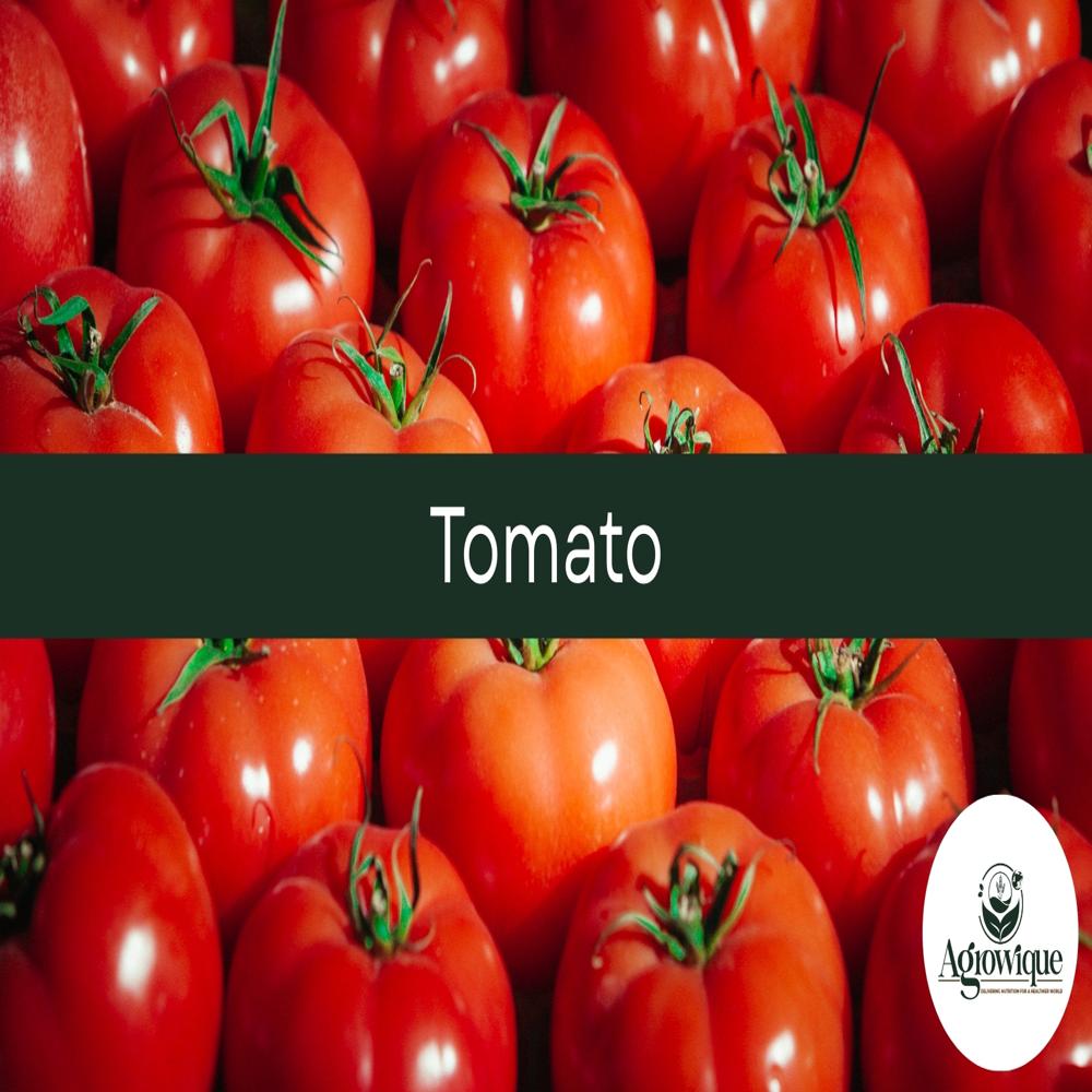 Fresh  Tomato