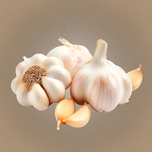 Fresh Garlic