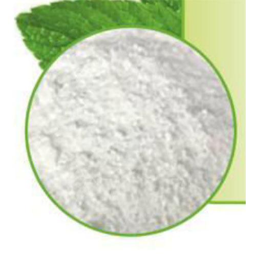 Sodium Methyl Paraben