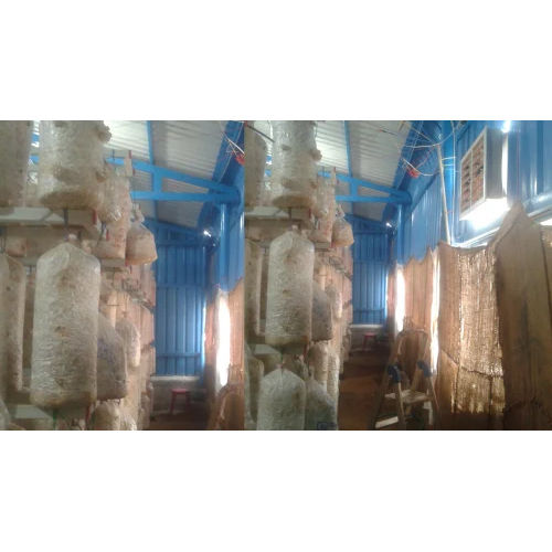 Mushroom Cooling Mist System Size: 900 X 500 X 600 Mm