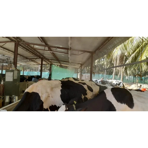 Dairy Farm Cooling System