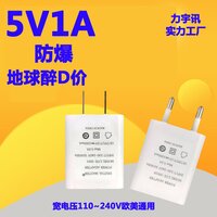5V2A Charger Adapter