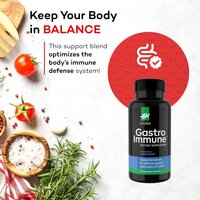 Daiwa Gastroimmune Gut  Leaky Gut Repair Health Supplements
