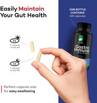 Daiwa Gastroimmune Gut  Leaky Gut Repair Health Supplements