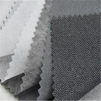 Garment Interlining