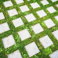Grass Paver
