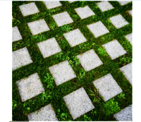 Grass Paver