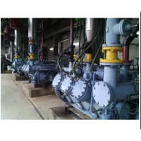 समुद्री खाद्य सामग्री के लिए कोल्ड स्टोरेज