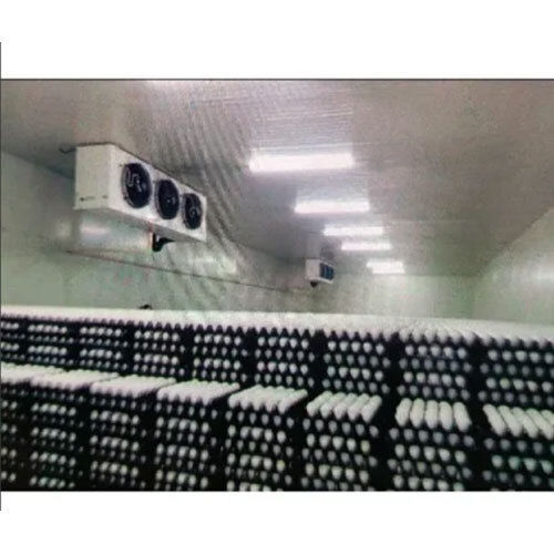 Eggs Cold Storage