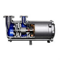 Black Witt Hermetic Pump