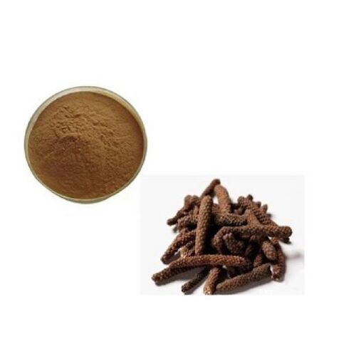 Piper longum Dry Extract Powder  : Piperine 5%