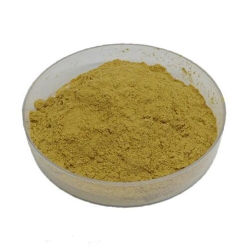 Coleus forskohli Dry Extract Powder  : Forskolin 2.5 -40%