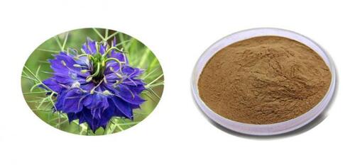 Nigella Sativa Dry Extract - Direction: As Per Suggestion