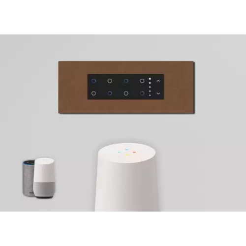 Smart Touch Panel With Voice Control