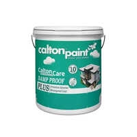 Any Color Calton Care Damp Proof Plus Paint