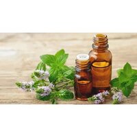 Peppermint Essential Oil