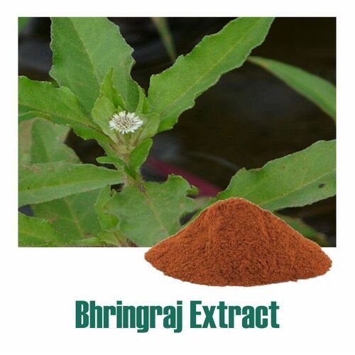 Bhringaraj Dry Extract