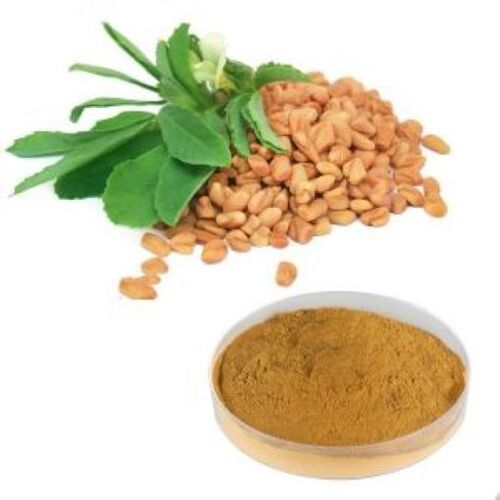 Fenugreek Dry Extract Powder : Saponins 15 - 60%