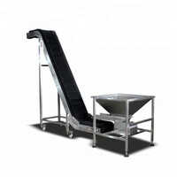 Mild Steel Incline Conveyor